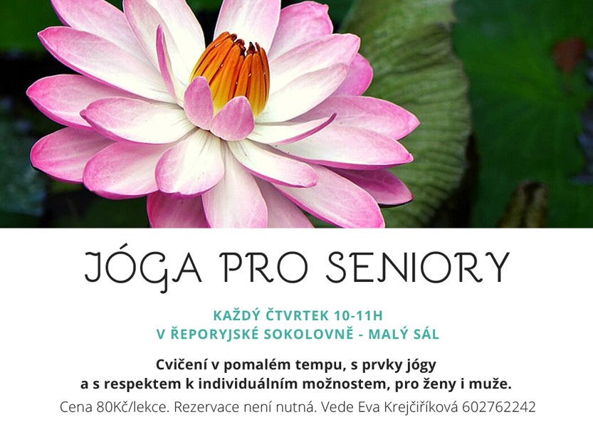 You are currently viewing Jóga pro seniory
