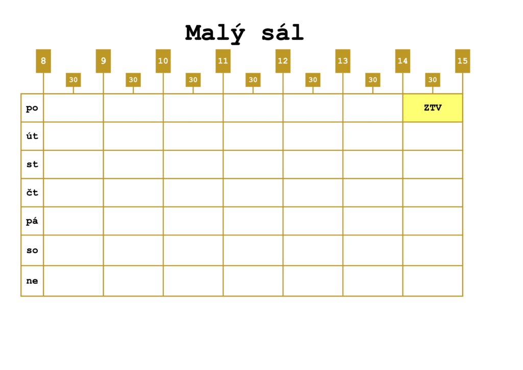 Malý sál - dopoledne