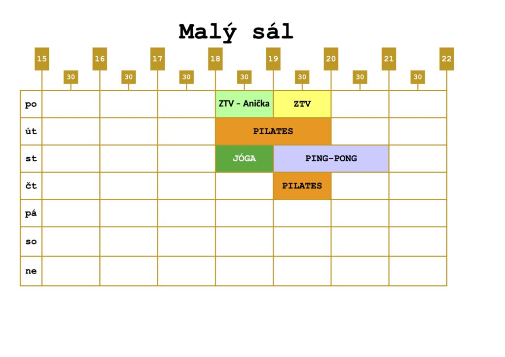 Malý sál - odpoledne
