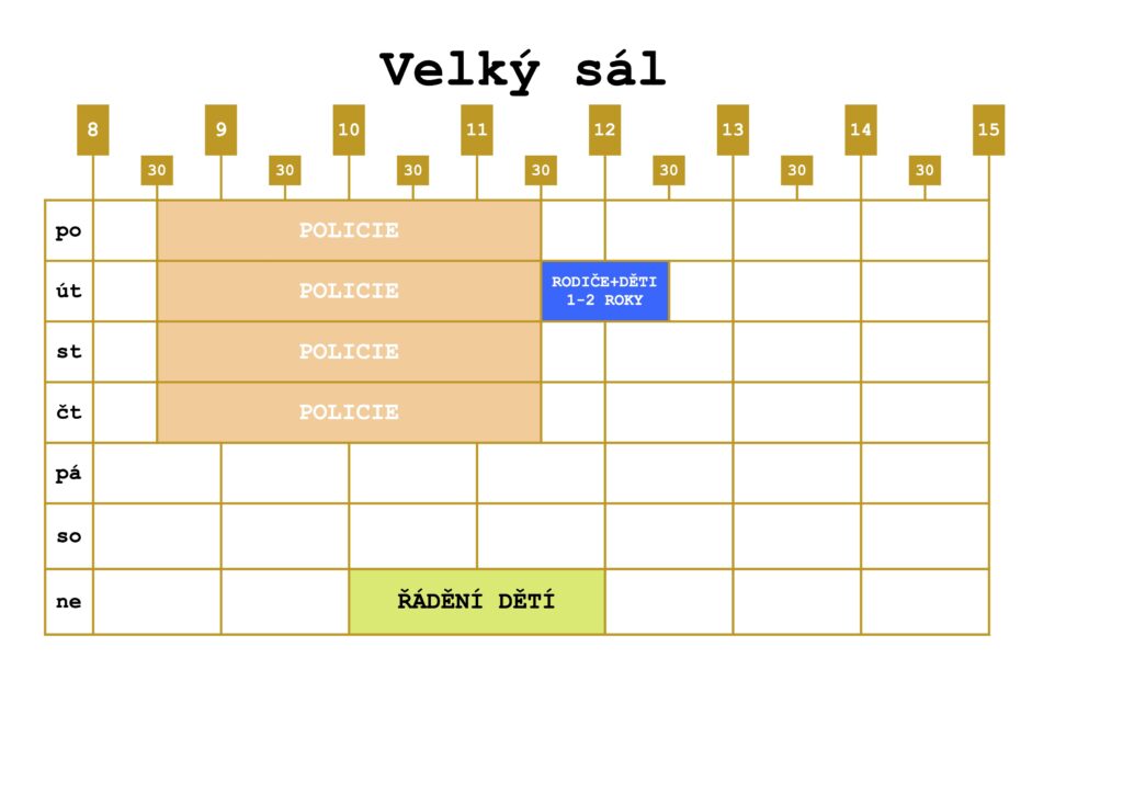 Velký sál - dopoledne